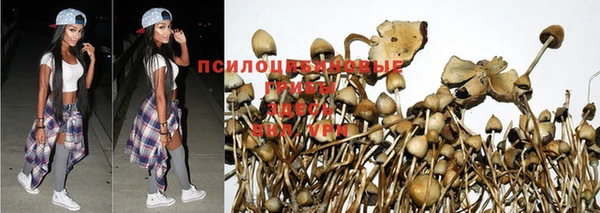 ECSTASY Абаза
