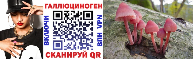 купить наркоту Полярный Галлюциногенные грибы Cubensis